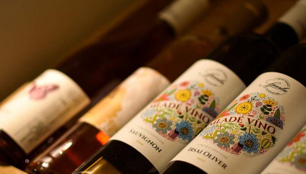 Degustação de vinhos em Bratislava - Foto 3