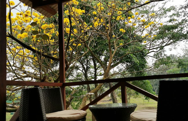 Cabaña del Lago Fortuna - Photo 8