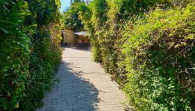 Chambre privée dans logement partagé, Pinky Elisabeth cozy Paris & Stade de France - Foto 5, Garden, Garden view