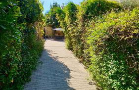 Chambre privée dans logement partagé, Pinky Elisabeth cozy Paris & Stade de France - Foto 5