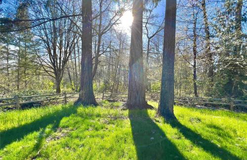 The Cozy Quaint Fort - Foto 8