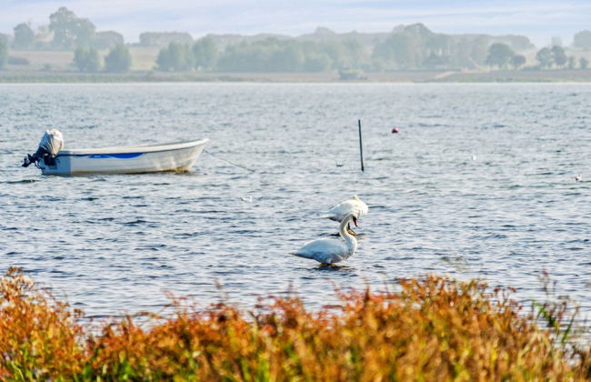 "Gyrth" - 20m to the fjord - Photo 9