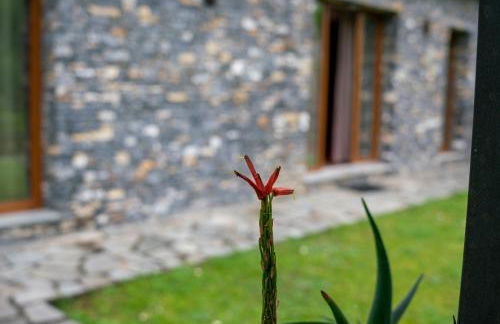 Collina e mare - Foto 40