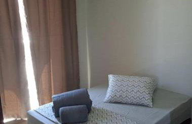 ap 22 amaryllis - Foto 5