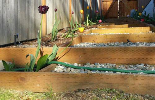 C19 Conscious, QUIET, ADULT Lake View Rental - Foto 19