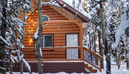 Denali Wild Stay - Redfox Cabin, Free Wifi, private, sleep 6 - Foto 5