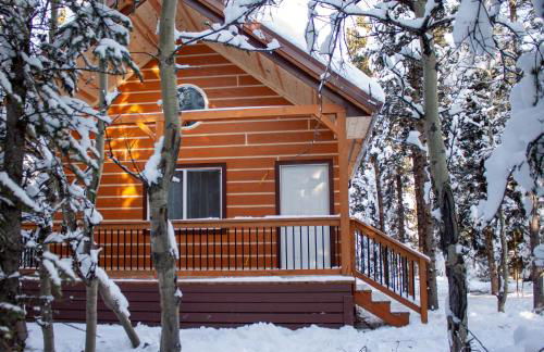 Denali Wild Stay - Redfox Cabin, Free Wifi, private, sleep 6 - Foto 5
