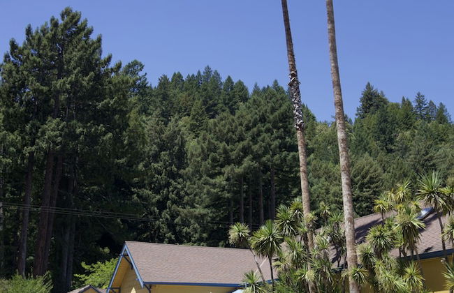 Surrey Resort - Foto 18