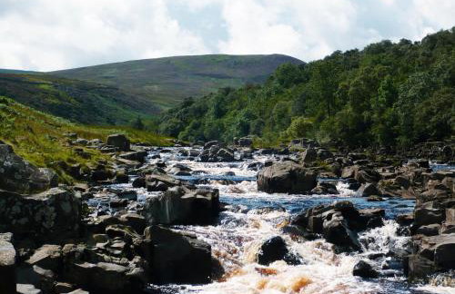 Mews Cottage - Photo 11