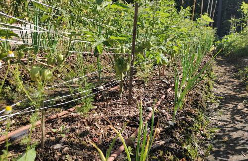 Healing Acres - Foto 32