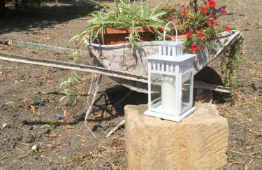 Agriturismo Adenzia - Foto 13