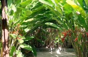 BOIPEBA Cantinho do Mirko 1 - Foto 6