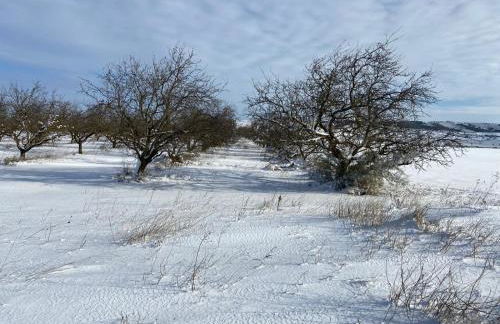 Apartamento El Estrecho de Arguedas - Foto 21