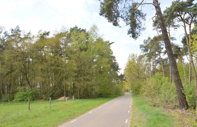 Pet-friendly Getaway - Photo 39