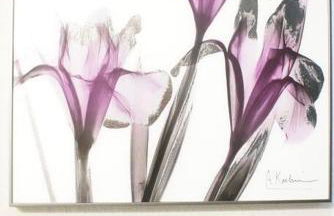 The Gathering HTX - Foto 50