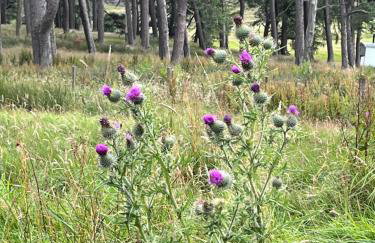 Corriemuckloch Unique Huts - Foto 39