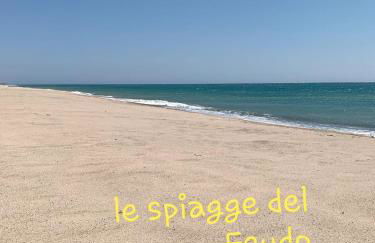 Una finestra sul glicine - Foto 23