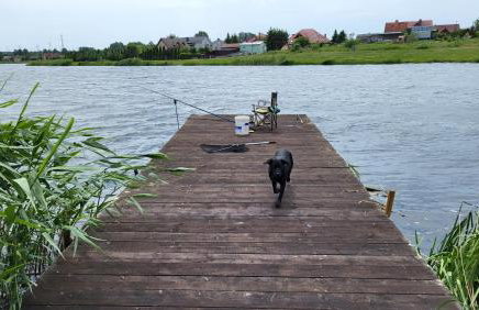 Domki nad zalewm - Foto 14