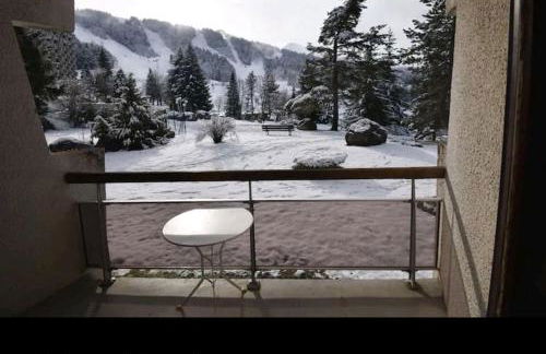 Studio 25m2, 5 pers, 30m des pistes, balcon sud - Foto 9