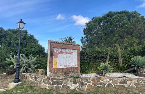 El Rincón de Manoli - Foto 25