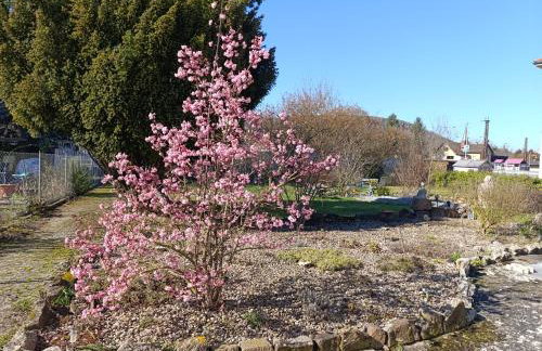 MainMoment 1 - FeWo Karlstadt am Main - Foto 22