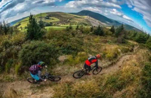 The Forager's Rest - Foto 55