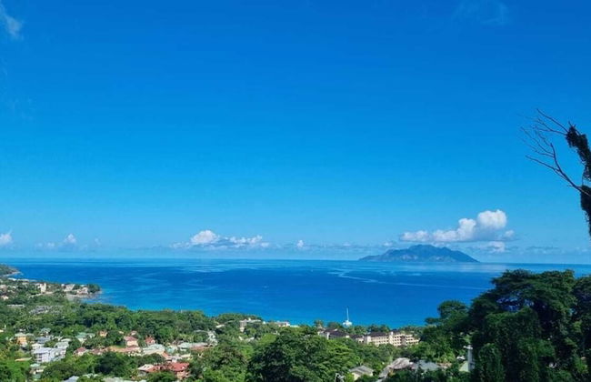 Wild Vanilla Apartment - Foto 61