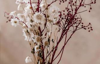 Lofts Luxo Xavishome Palacio Quitandinha Petropolis - Foto 9