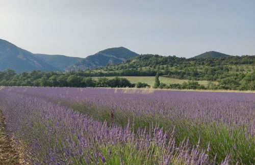 La Maison du Verger, Provence and quiet countryside - Photo 7