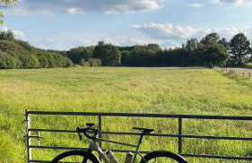Wunderschönes Apartment mit Bademantelgang zur Wohlfühltherme - Foto 34