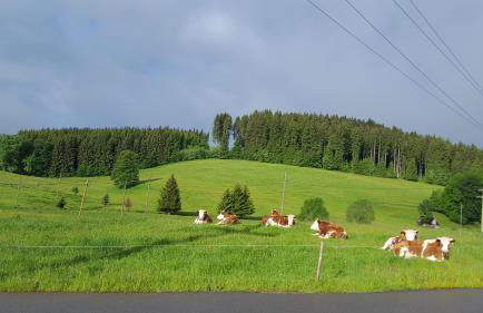 Appartement Rehblick - Foto 54