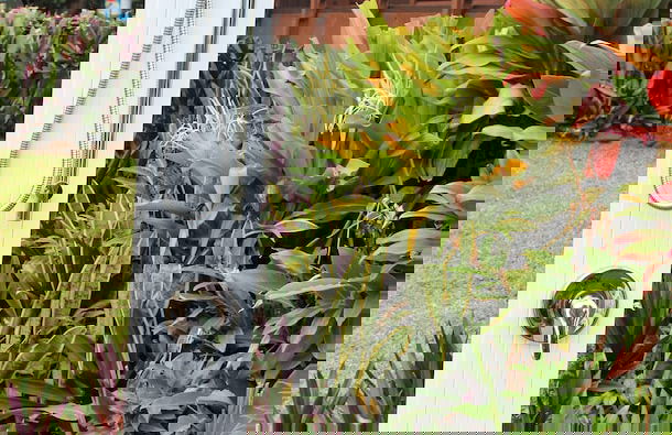 Muri Vista Villas - Foto 29