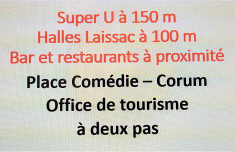 le balcon de Saint Roch - Foto 18