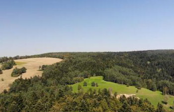 Temeszówka domek do wynajęcia - Foto 29