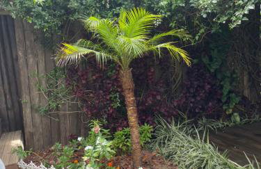 Grand Moriá Pousada Spa - Photo 42