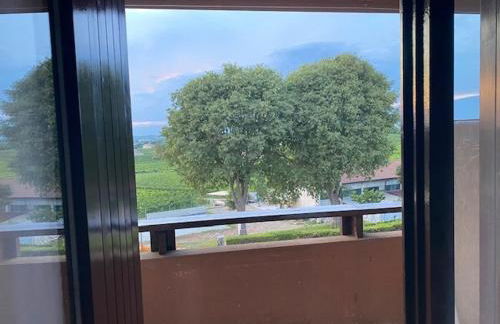 10 minuti dal Lago di Garda e da Gardaland - Foto 46