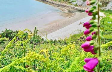 The Mermaids Watch Pendine DOG FRIENDLY with Cymru Holidays - Photo 13