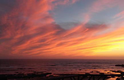 Ericeira Vibes - Foto 40