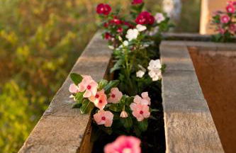 Seaview Resort - Foto 25