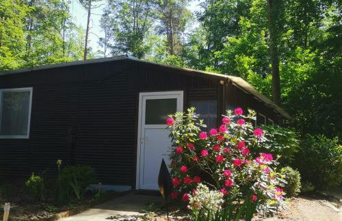 Bungalowdorf Briesensee - Foto 9