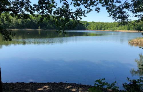 Ferienwohnung Will - Photo 34