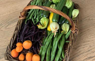 Entire flat 2 to 4 pers 1 bed 1 bath disabled access for limited disability - Foto 15