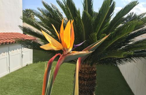 Frente al Mar - Rosales - Photo 23