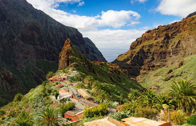 Tour in jeep al Teide e a Masca - Foto 5