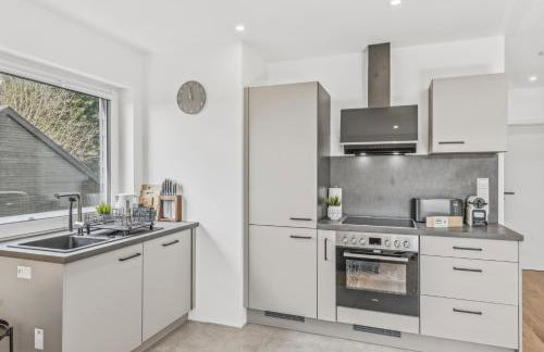 BAT Home Solutions Trierweiler - alles was ein Hotel nicht bietet - 5 Apartments 40 bis 120 qm für bis zu 29 Personen - 5-Raum-Apartment barrierefrei - 60 qm Balkon mit Blick bis Luxemburg - einzeln bis komplett buchbar - 3 Min zur A64 - Foto 33