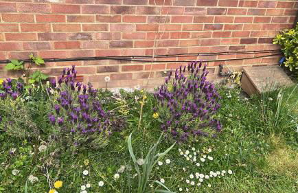 Comfy, king bed families & Contractors welcome - Foto 13