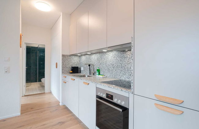 Hitrental Letzigrund Apartments - Foto 18