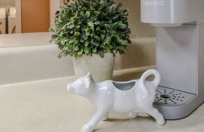 Southern Living for 4 in Richmond Hill - Foto 44