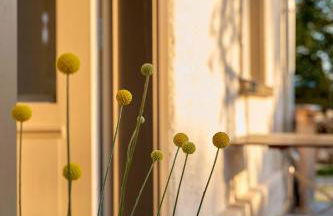 Hof Spittelsberg - Photo 9