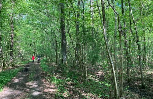 Agriturismo Col Maor - Foto 22